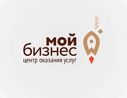 «Развитие экспортной деятельности в городском округе город Выкса»
